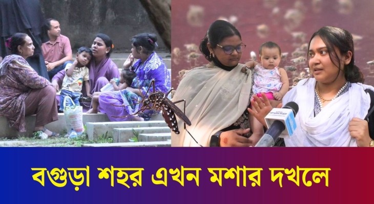 বগুড়া শহর এখন মশার দখলে, অতিষ্ঠ শহরবাসী
